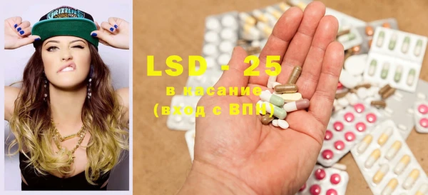 ECSTASY Костерёво