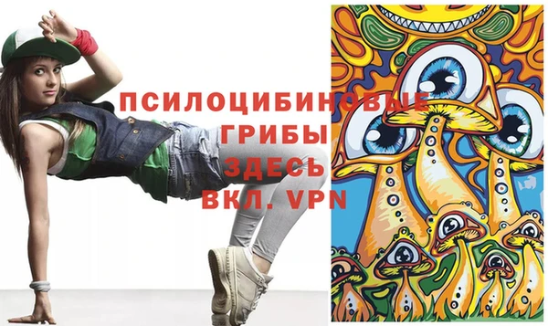 ECSTASY Костерёво