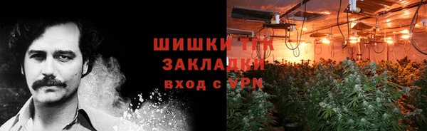 ECSTASY Костерёво