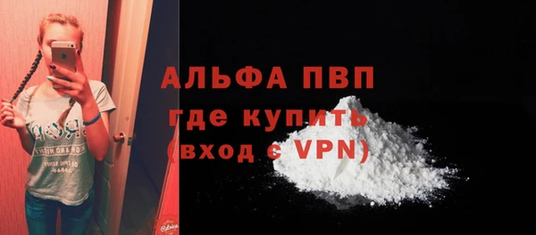ECSTASY Костерёво