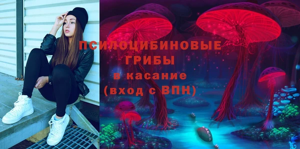 ECSTASY Костерёво
