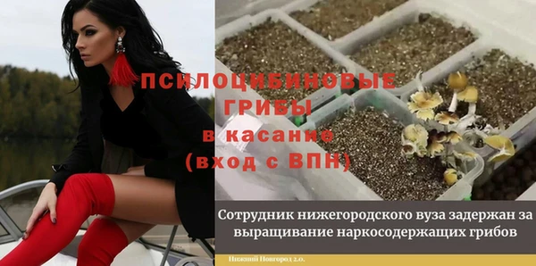ECSTASY Костерёво