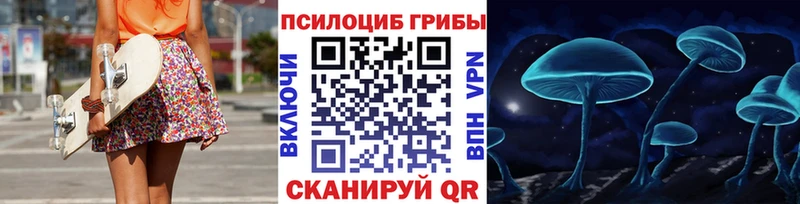 где купить   Разумное  Псилоцибиновые грибы Psilocybe 